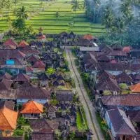 Rural Atmosphere at Bali Coconut House in Delodsema Village, Hotel in Penginyahan