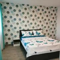 Casa Sonia, hotel i Vadu