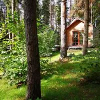 Private cosy forest cabin, ξενοδοχείο σε Inturkė