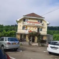 Pensiunea Vidra, hotel v destinaci Băile Felix