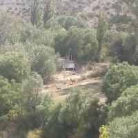 Eco Rancho Andino con corral de llamas