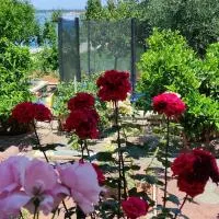 Apartments Lukacic, hotel v destinaci Tkon