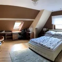 Apartament Podczerwone, Hotel in Czarny Dunajec