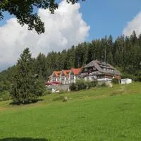JUFA Hotel Schwarzwald, hotel u gradu 'Lenzkirch'