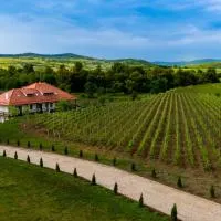 Pensiunea Sonnenhof, hotel di Sighisoara