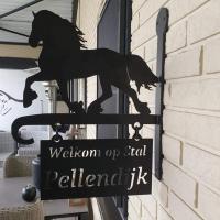 Luxe gastenkamer met living en keuken bij Friezen paarden Stal Pellendijk, hotel in Westendorp