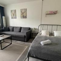 The Flamingo Apartment - Flamingoyksi&ouml;, hotel near Turku Airport - TKU, Turku