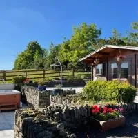 Rustic Chalet Superking bed Free Sauna Jacuzzi Spa Wifi Netflix Parking, hotel a Killaloo