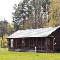 ТУРБАЗА NESTER-HOUSE, hotel in Svityazʼ