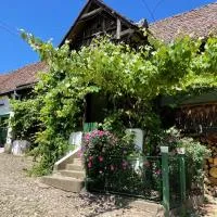Saschiz 130/Lodging and Glamping, hotel i Saschiz