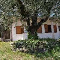 LA CASA TRA GLI OLIVI, hotel v destinácii Sona
