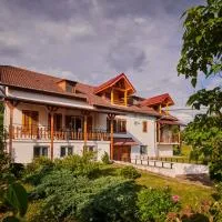 Vila Ţara Haţegului, viešbutis mieste Hacegas