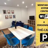 Appartement hyper centre de Montargis, hotel v destinaci Montargis