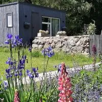 Mellene 1 bedroom house in nature & hot tube, hótel í Turaida