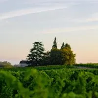 Vandenbeld Wines B&B, hotel v destinácii Minzac