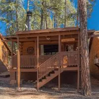 Forest Cabin 4 Cowboys Dream, hotell sihtkohas Payson