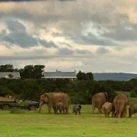 RiverBend Lodge, hotel di Addo