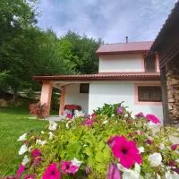 Holiday House Trnovac、Trnovacのホテル