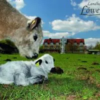 Landhotel Löwenbruch, hotel Löwenbruchban