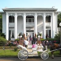 Shadowlawn Bed and Breakfast, hotel near Columbus-Lowndes County - UBS, Columbus