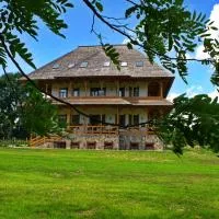Agropensiunea Alex, khách sạn ở Ocna Şugatag