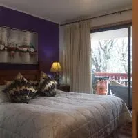 DEPARTAMENTOS TERMAS DE CHILLAN، فندق في Nevados de Chillan