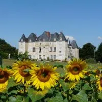 Dangé में, होटल Château de Piolant