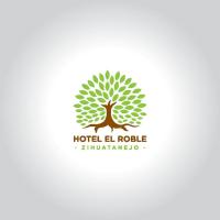 HOTEL ROBLE ZIHUATANEJO, отель в городе Сиуатанехо