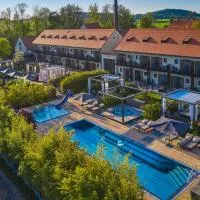 Resort Čapí Hnízdo, отель в городе Olbramovice