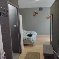 Studio indépendant accès direct autonome., hotel a Le Cateau