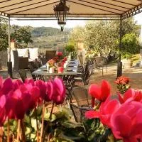 B&B Le Dimore di Mezza Costa - Home Restaurant & Cooking Classes, hotel i San Casciano in Val di Pesa