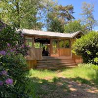 Houten bosvilla met sauna