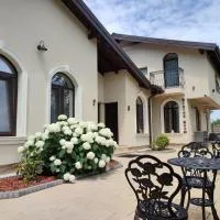 Villa Boutique Alina, hotell i Deva