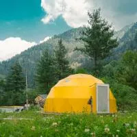 Whoopers Boutique Resort Jibhi, hotel en Jibhi