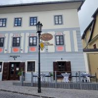 Hotel Salamander, hotel in Banská Štiavnica