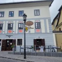 Hotel Salamander - Garni, отель в городе Банска-Штьявница