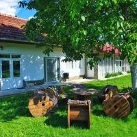 LA GRADINA, хотел в Slatina-Timiş