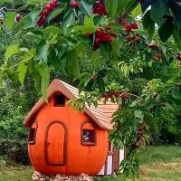 Rupe में, होटल Krka Magic Pumpkin