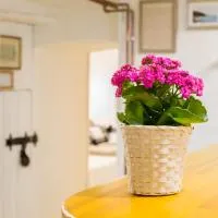 Ádám Apartman, hotel i Balatonföldvár