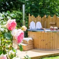 Cabane en bois avec bain nordique، فندق في Asnières-sur-Vègre