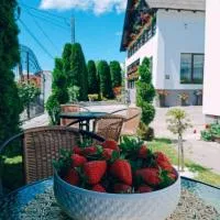 Pensiunea Casa Andreea - Bârsana Maramureș, viešbutis mieste Bîrsana
