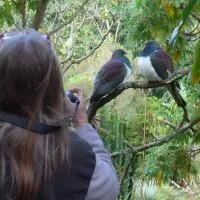 Wharepuke Subtropical Accommodation, hotel a Kerikeri