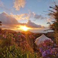 Free Canari - Los Alamos 8, hotel Tenerife Norte repülőtér - TFN környékén Teguestében