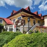 Pensiunea Viena, hotell i Târgu-Mureş