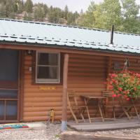 The Forget-Me-Not Cabin with Mountain Views, hotel in Lake City