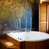 Los mejores hoteles con jacuzzi en la habitación en la Comunidad de Madrid 20 Hotel De Martin