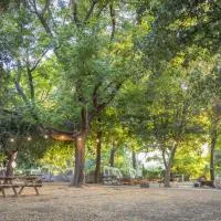 Camping Dafna - By Travel Hotel Chain, хотел в Дафна