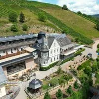 Hotel Weinberg-Schlößchen, hotel u gradu Oberheimbach