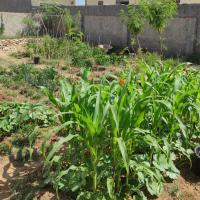 Charmant logement avec jardin en permaculture, hotel in Chebba