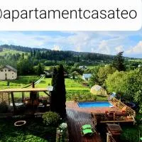 Apartament Casa Teo – hotel w mieście Şarul Dornei